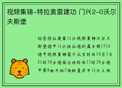 视频集锦-特拉奥雷建功 门兴2-0沃尔夫斯堡